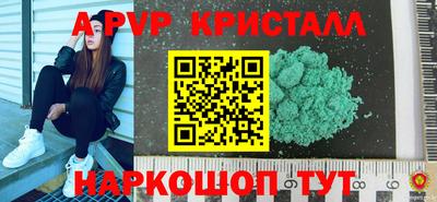 шишки Тверь