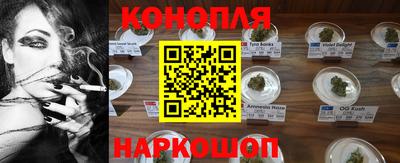 гидропоника Дубна