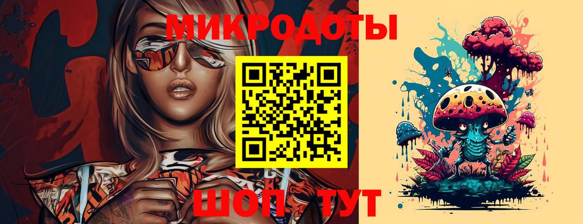 Псилоцибиновые грибы Cubensis Новокубанск