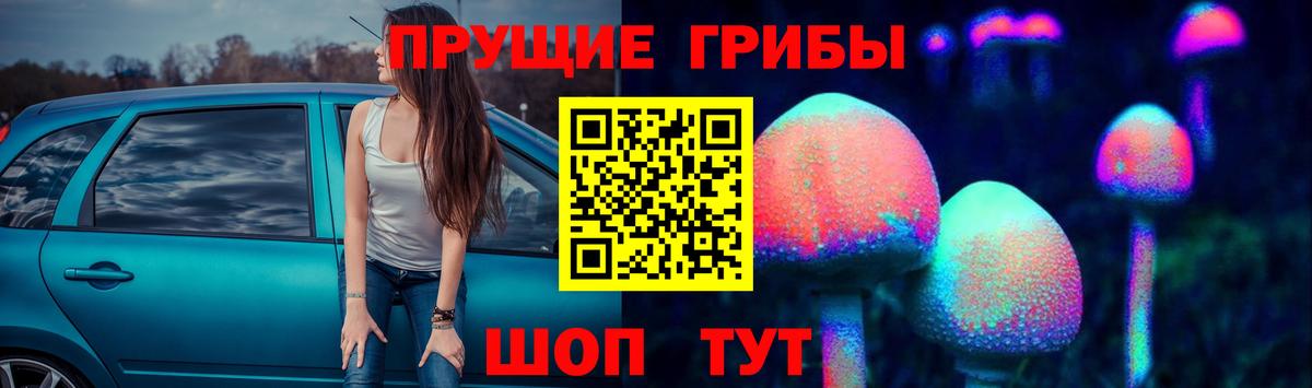 Галлюциногенные грибы Magic Shrooms  Вход с VPN  Новокубанск  Псилоцибиновые грибы GOLDEN TEACHER 